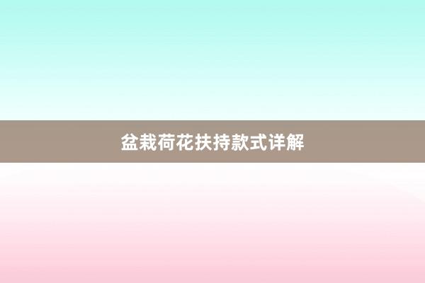 盆栽荷花扶持款式详解